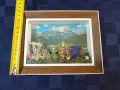 Хербаризирани цветя и кристали в рамка под стъкло  от Астрийските Алпи -Floralp Tyrol , снимка 6