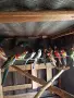Разнообразие от папагали , снимка 2