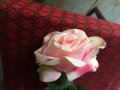 Роза 75см., снимка 1 - Изкуствени цветя - 34090102