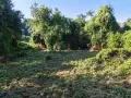 Продава парцел със стара къща в с. Згурово,област Кюстендил, снимка 7