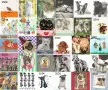 Салфетки на бройка 11, снимка 6