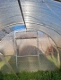 Оранжерия 6х3м с поликарбонат, снимка 5