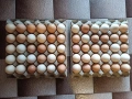 Продавам домашни яйца , снимка 2