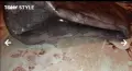 Нова Кожена Дамска Модерна Чанта, снимка 5