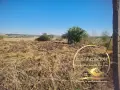 Парцел село Радиево, снимка 2