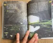 6 книги-Илън Мъск,Чарлс Буковски и др, снимка 12