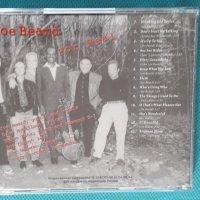 Joe Beard Feat. Duke Robillard And Friends – 1998 - For Real(Chicago Blues), снимка 6 - CD дискове - 44500265