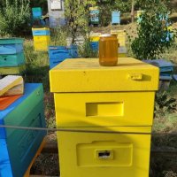 пчелен мед, снимка 1 - Пчелни продукти - 41679721