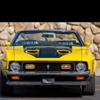 Ляв Мигач Под Предната Броня За Ford Mustang от 1971-1972 Година  Форд Мустанг , снимка 7 - Части - 41204173
