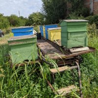 Пчелни кошери и платформа, снимка 3 - За пчели - 40807210