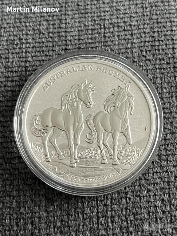 Сребърна инвестиционна монета, Австралийско Бръмби 2025, спец. тираж, снимка 1
