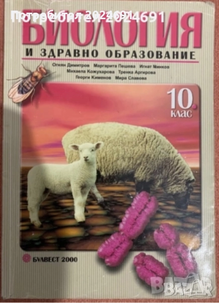 Биология и здравно образование - Булвест  2000 , Огнян Димитров ( колектив) , снимка 1