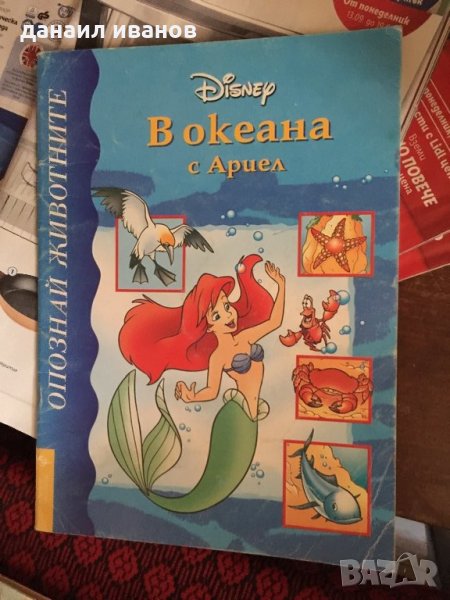 В океана с Ариел код278, снимка 1