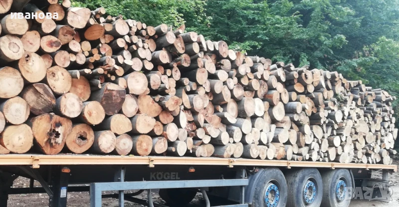 Метрови дърва за огрев, снимка 1