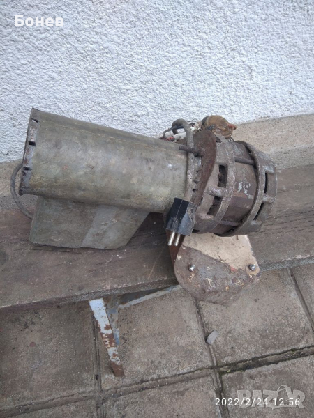 Роначка на царевица, снимка 1