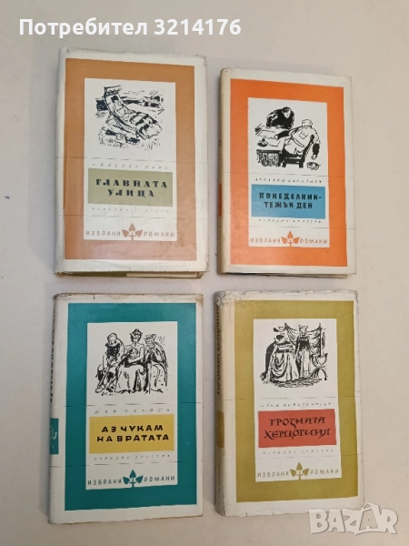 Главната улица - Синклер Луис, снимка 1