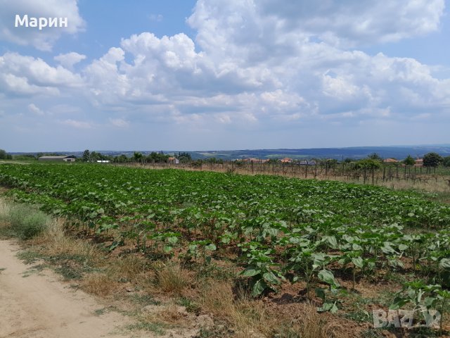 Продавам парцел село Здравец , снимка 1