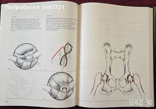 Atlas of Small Animal Surgery. Surgical Techniques for Practitioners, снимка 16 - Специализирана литература - 53748209