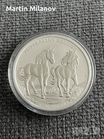 Сребърна инвестиционна монета, Австралийско Бръмби 2025, спец. тираж