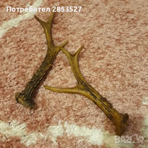 Еленски Рога, снимка 2 - Други - 47484354