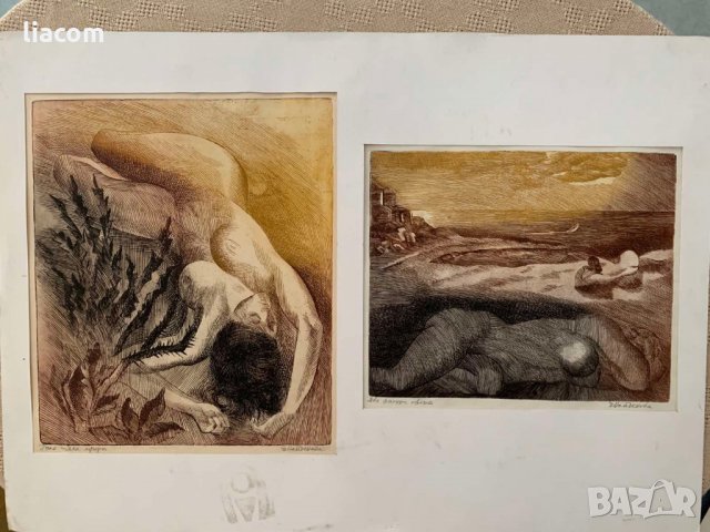 ЕЛКА НАЙДЕНОВА диптих