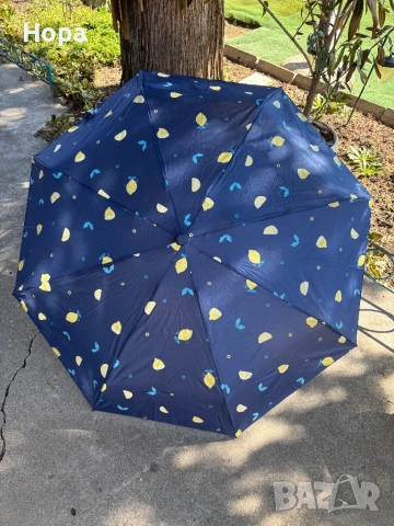 Сгъваеми чадъри с лимони и ягоди , снимка 13 - Други - 53750480