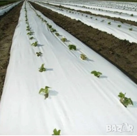 Агрил против слана 23гр. М2, снимка 2 - Други стоки за дома - 53720851