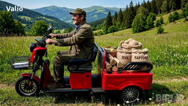 Електрическа триколка двуместна товарна 1000W, снимка 13 - Мотоциклети и мототехника - 55762740