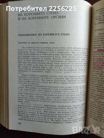 Специална хирургия , снимка 5 - Специализирана литература - 48096108