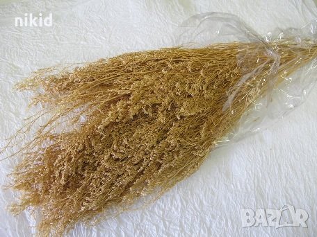 Сухи цветя натурални пампаска трева гипсофил за аранжировка аранжиране декорация бижута сапун , снимка 2 - Изкуствени цветя - 35915673