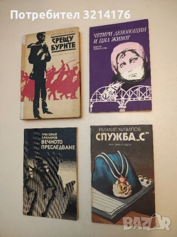 Служба "С" - Михаил Кизилов