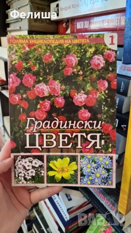 Градински цветя - Енциклопедия