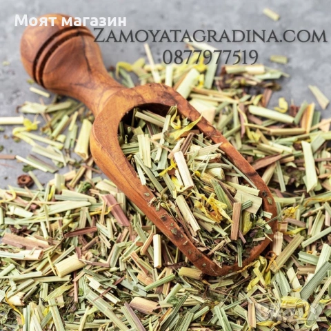 Лимонена трева за чай, настинка и т.н., снимка 4 - Градински цветя и растения - 53650574