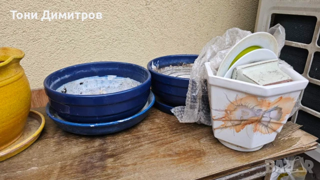 Саксии за домашни цветя