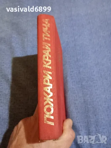 Генчо Пенчев - Пожари край Тича , снимка 3 - Българска литература - 48263112