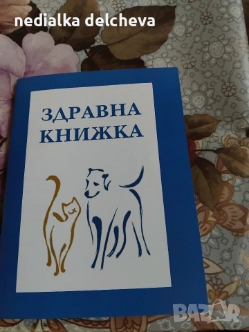 мини чихуахуа две момченца на 2месеца направена ваксина., снимка 4 - Чихуахуа - 53293544