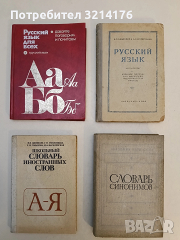 Школьный словарь иностранных слов - О. В. Васильевич, И. В. Васильевич, С. Г. Петровна