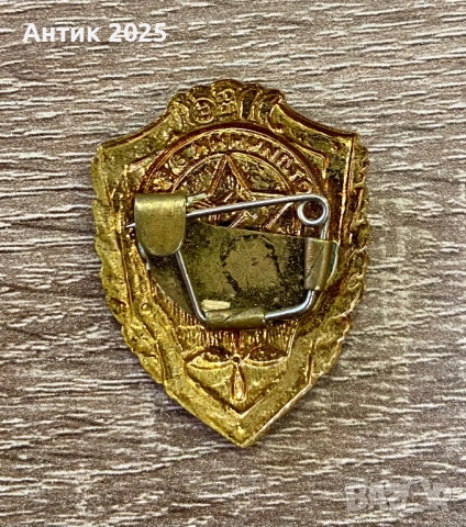 Съветска значка „Отличник ВВС“, снимка 2 - Колекции - 53618023