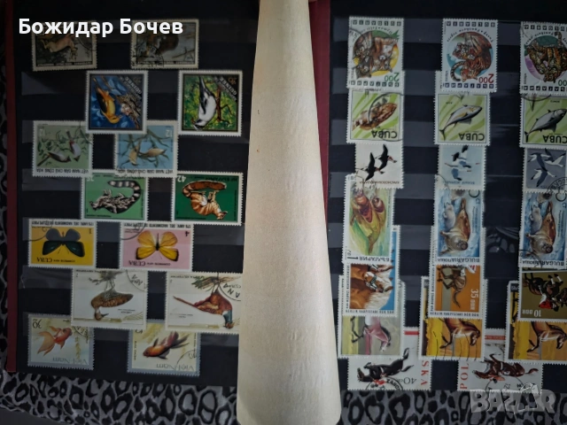 Пощенски марки , снимка 7 - Филателия - 53295308