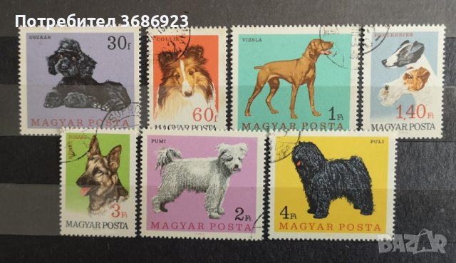 Унгария кучета 1967г.