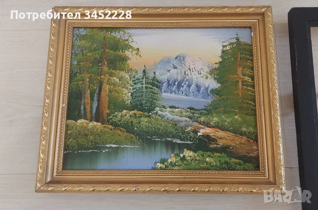 Картини малки и рамка за картина за ценители , снимка 2 - Картини - 55836186