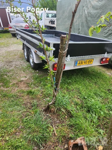 двуосно ремарке Dan trailers, снимка 8 - Ремаркета - 50640979