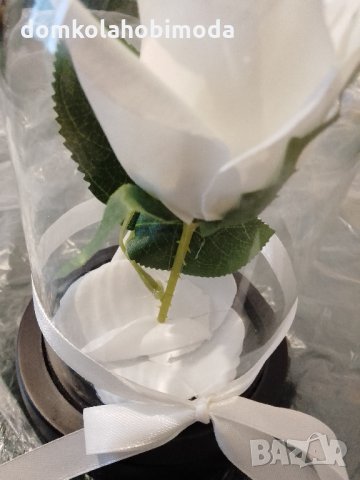 Изкуствена роза под стъклен похлупак, Дървена основа,Бяла, 17x11 см, снимка 2 - Други - 35761389