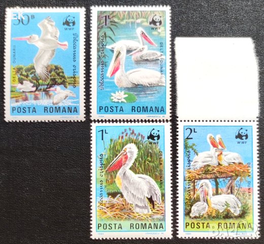 Румъния, 1984 г. - пълна серия чисти марки, пеликани, 3*16, снимка 1 - Филателия - 41002630