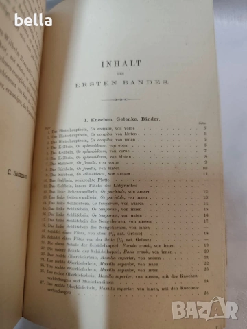 Антикварен медицински атлас по Анатомия (1875 г.) – Dr. Heitzmann, снимка 7 - Антикварни и старинни предмети - 53836569