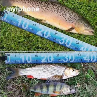 Водоустойчив линийка за измерване на рибата 90 см/35 инча Сгъваема измервателна лента за риболов , снимка 2 - Екипировка - 48495836