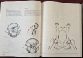 Atlas of Small Animal Surgery. Surgical Techniques for Practitioners, снимка 16
