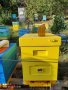 пчелен мед, снимка 1 - Пчелни продукти - 41679721