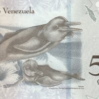 ❤️ ⭐ Венецуела 2017 500 боливара UNC нова ⭐ ❤️, снимка 3 - Нумизматика и бонистика - 41374868
