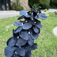 Изкуствени орхидеи – стрък с 8 цвята  , снимка 7 - Изкуствени цветя - 38638420
